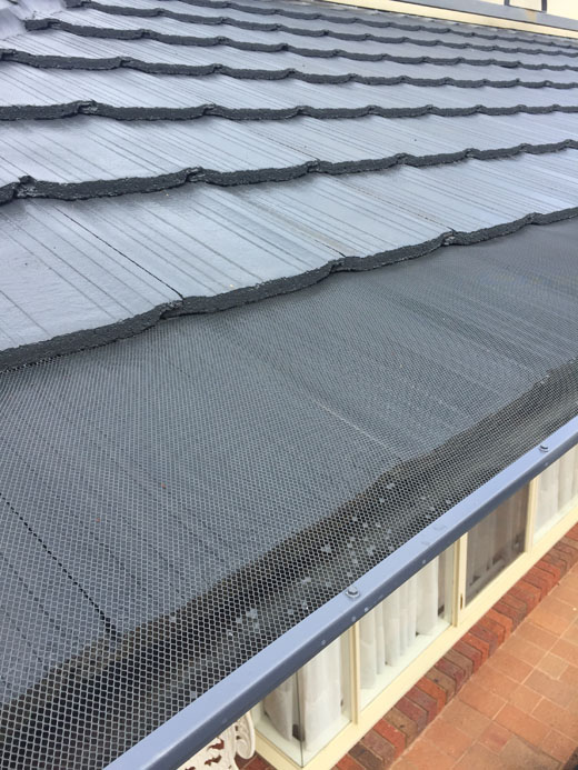 Aluminum gutter mesh (13).jpg